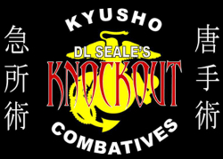 Internationales Stiloffenes Kyusho SV Seminar mit Nils Scheiring