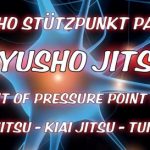 Kyusho Jitsu Seminar mit GM Jürgen Kraus 9.DAN DKI