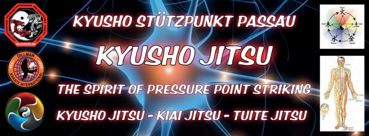 Kyusho Jitsu Seminar mit GM Jürgen Kraus 9.DAN DKI